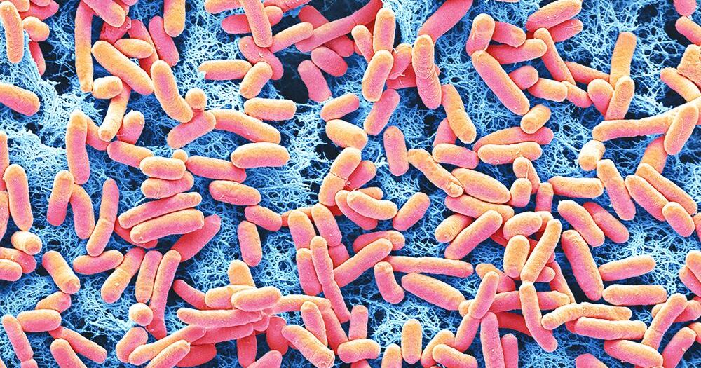 Officials investigating E. coli-related outbreak at Arizona State Fair | News