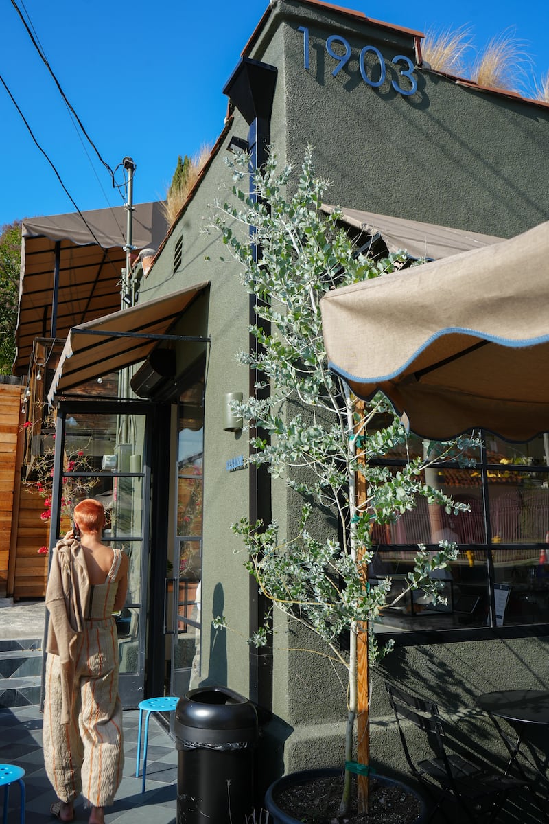 DESCRIBE THE IMAGE FOR ACCESSIBILITY, EXAMPLE: Photo of a chef putting red sauce onto an omelette.