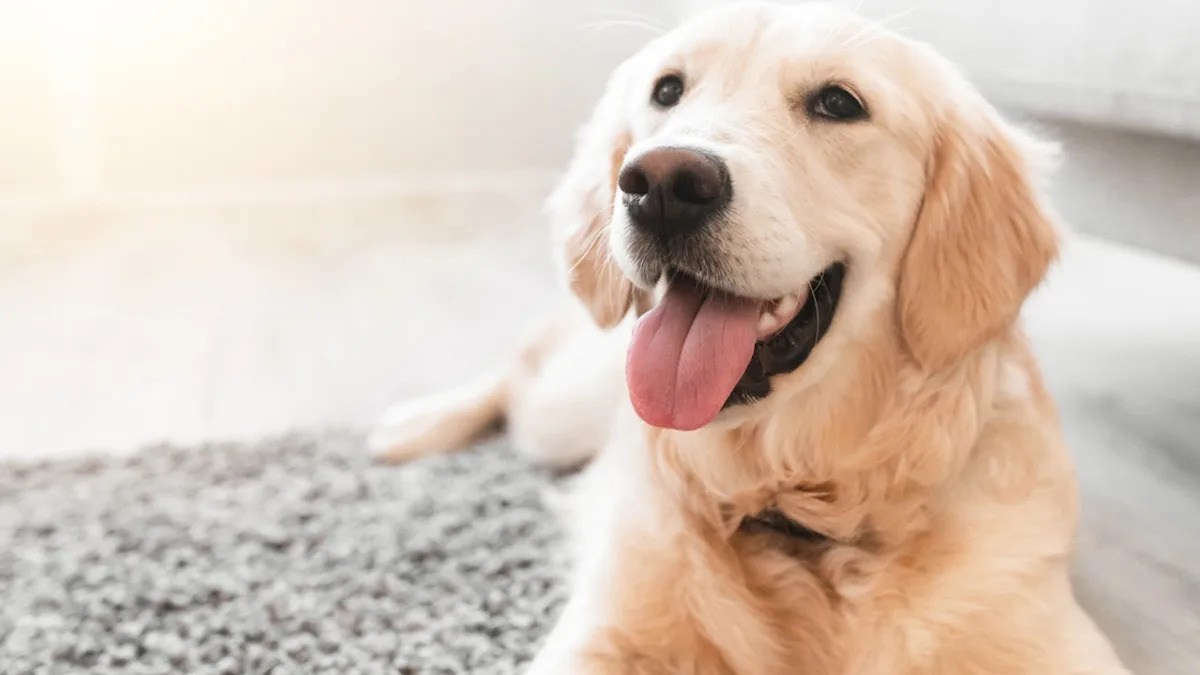 Yahoo lifestyle home