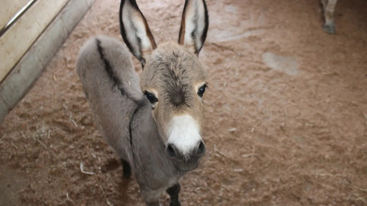 Yahoo lifestyle home