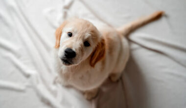 Yahoo lifestyle home