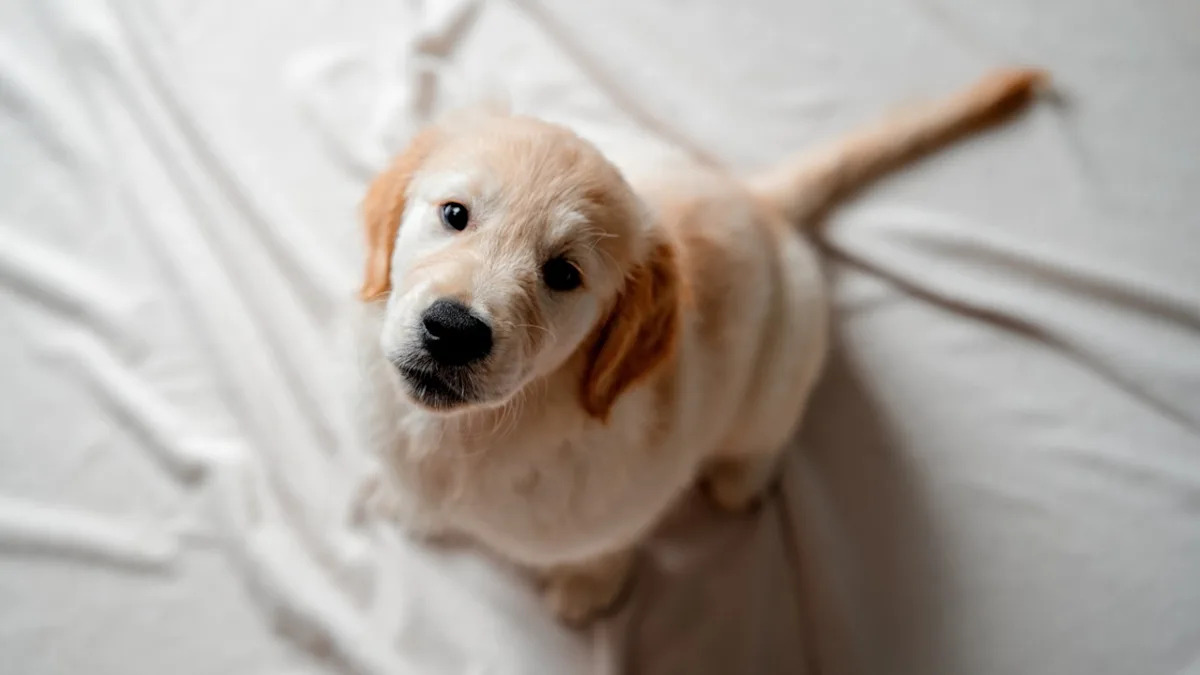 Yahoo lifestyle home