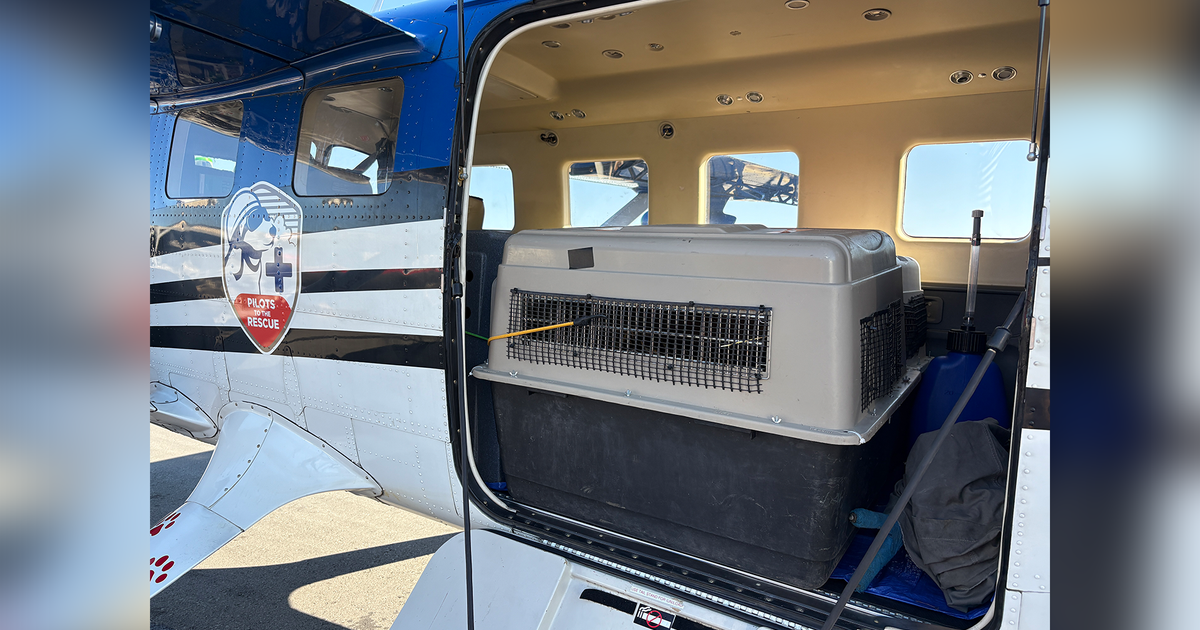 Durham's Museum of Life and Science swaps red wolves with New York to preserve population :: WRAL.com