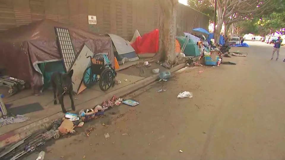 Animal advocates say they’re seeing a disturbing increase in dogs being abused, neglected and even set on fire at homeless encampments across Los Angeles. (KTLA)