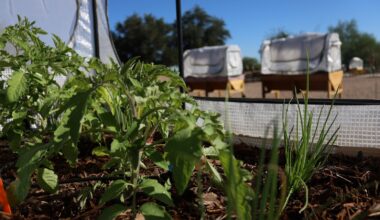 West Valley Gardens cultivates not only plants, but community too