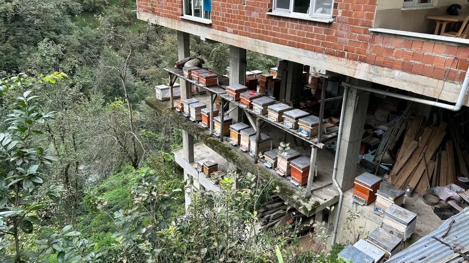 Beehives are a common site at homes throughout the region. - Maureen O'Hare/CNN