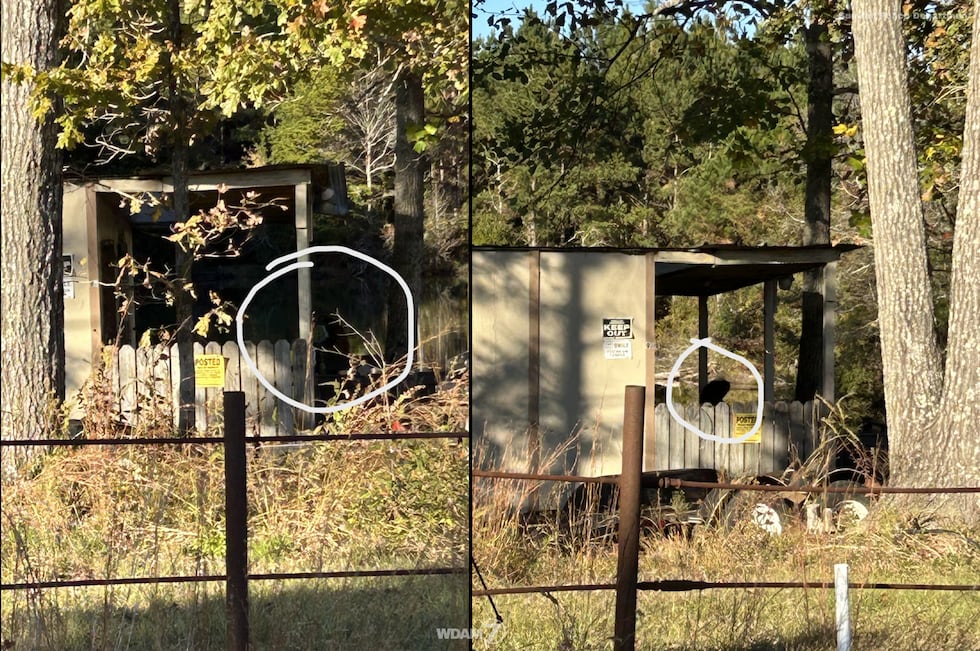 Final monkey found in Vossburg, MS