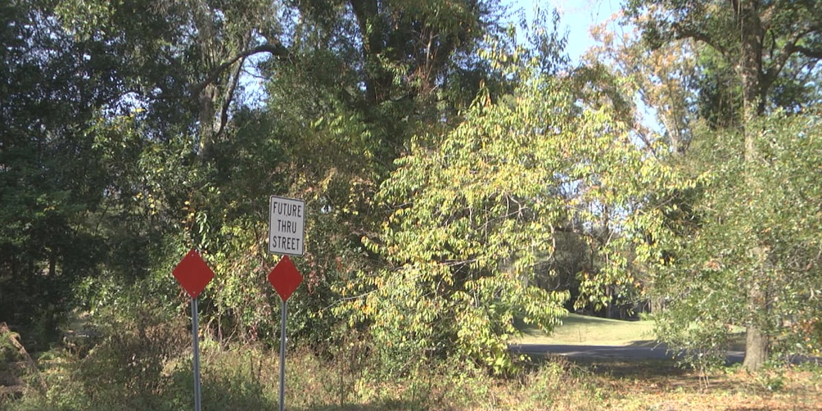 A Gainesville wildlife area could be the site of a new University of Florida golf course