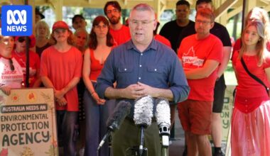 Murray Watt declares 'now or never' for environment laws as parliament stand-off looms