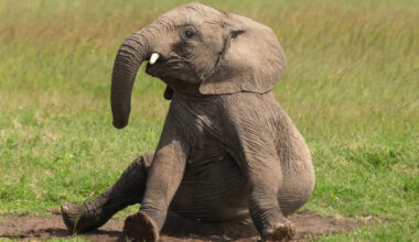 Yahoo lifestyle home