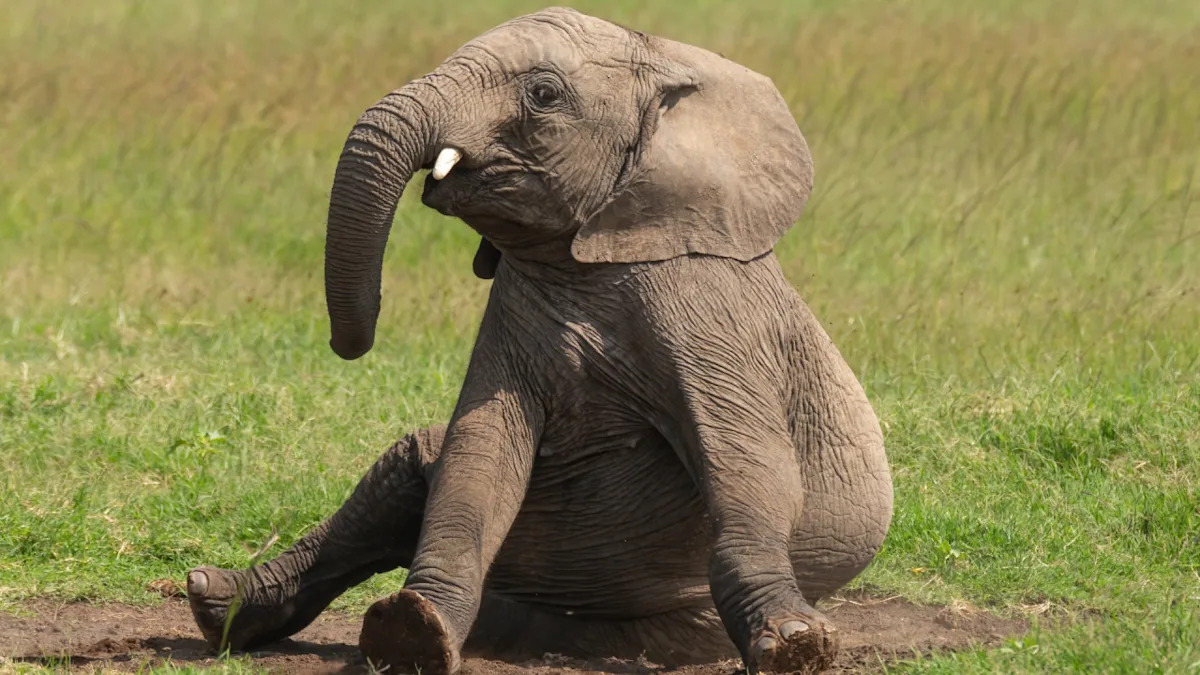 Yahoo lifestyle home