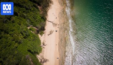 Toyah Cordingley's accused killer '3.7 billion times more likely than not' to have contributed to DNA sample near burial site, court told