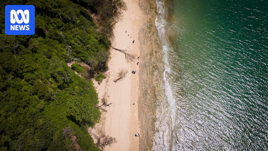 Toyah Cordingley's accused killer '3.7 billion times more likely than not' to have contributed to DNA sample near burial site, court told