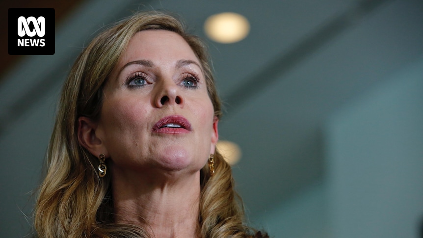 Australia's eSafety Commissioner called to testify before US Congress and labelled a 'zealot'