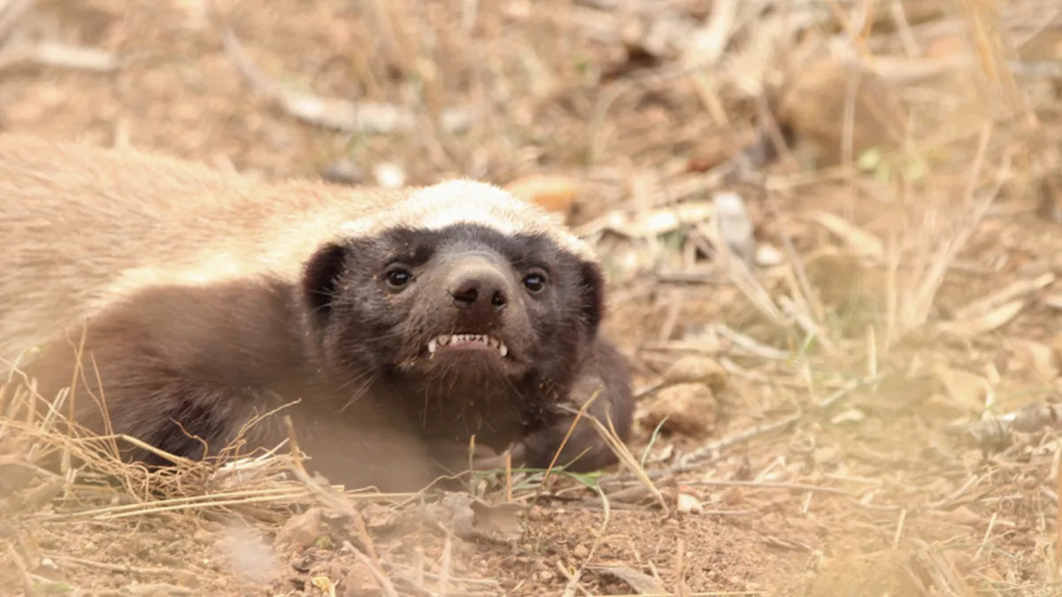 Yahoo lifestyle home