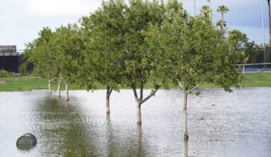 Phoenix heat records fall in October 2024. Rain gauges fill year later