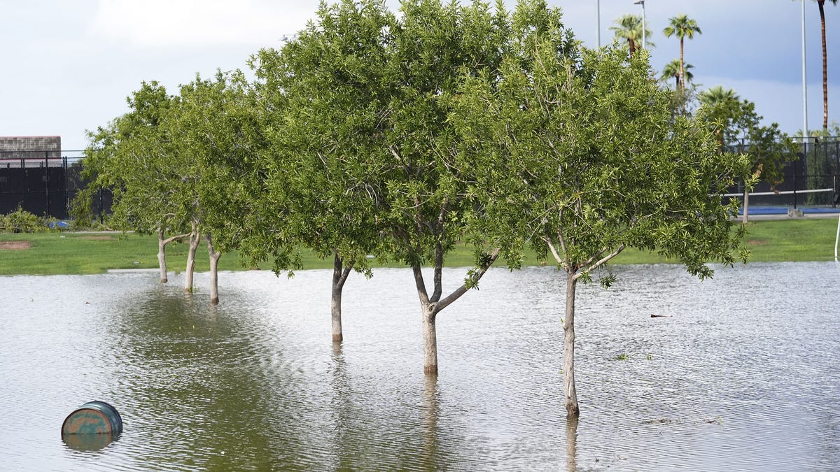 Phoenix heat records fall in October 2024. Rain gauges fill year later
