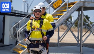 Andrew Forrest is betting on renewable energy in Queensland's coal heartland