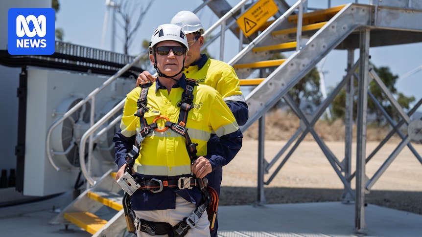 Andrew Forrest is betting on renewable energy in Queensland's coal heartland