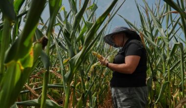 EPA approves new pesticide with PFAS, sparking health concerns :: WRAL.com