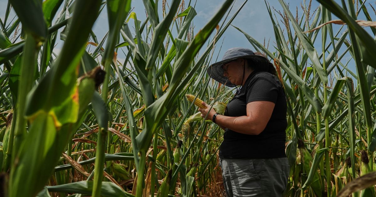EPA approves new pesticide with PFAS, sparking health concerns :: WRAL.com