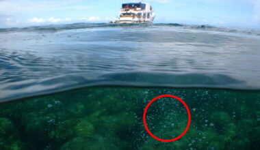 Mass of bubbles near underwater volcano sparks 'urgent' warning to Australia