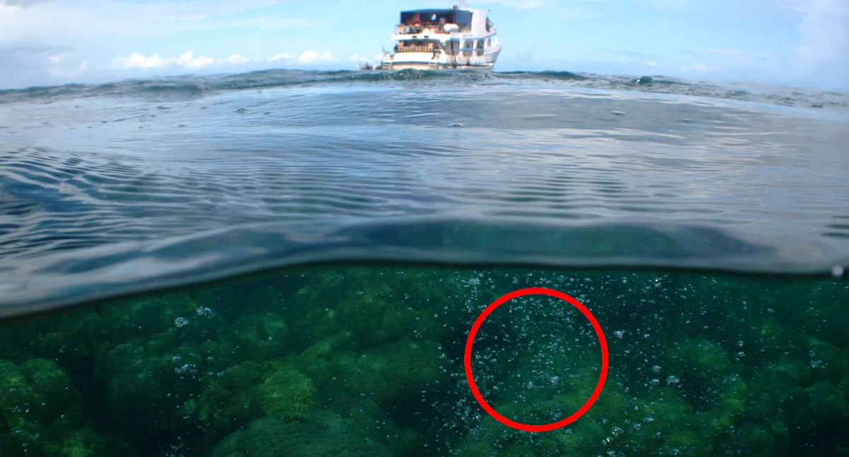 Mass of bubbles near underwater volcano sparks 'urgent' warning to Australia