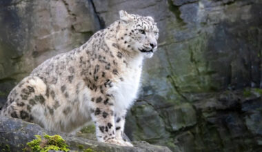 Yahoo lifestyle home