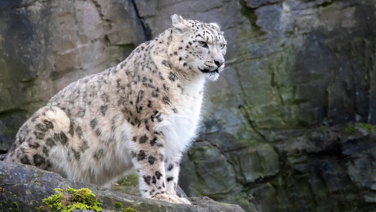 Yahoo lifestyle home