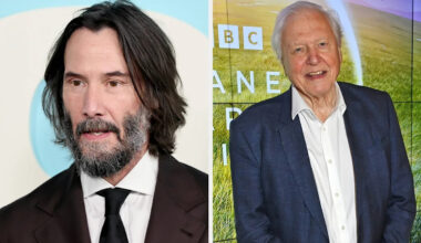 Yahoo entertainment home