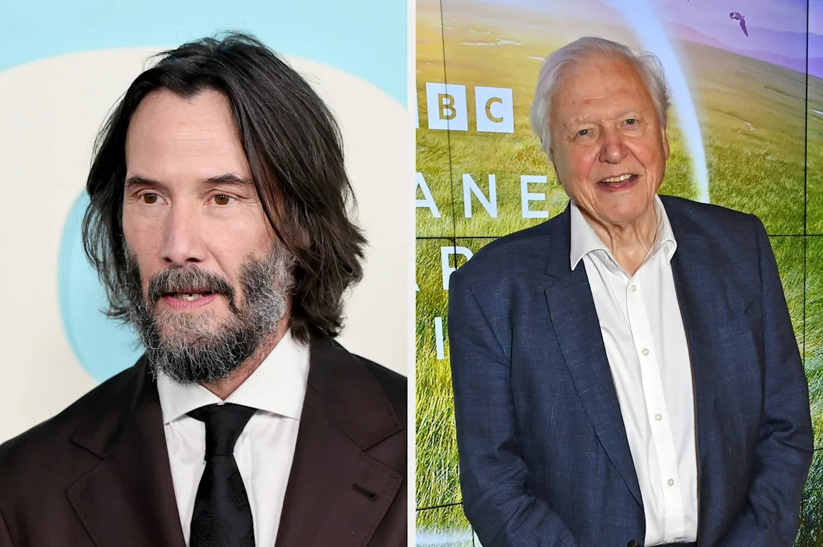 Yahoo entertainment home