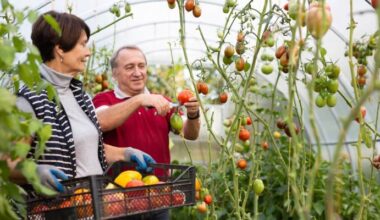 Older Americans should plan to retire with a 6-figure HSA, expert says. But few realize this account's 'full potential'