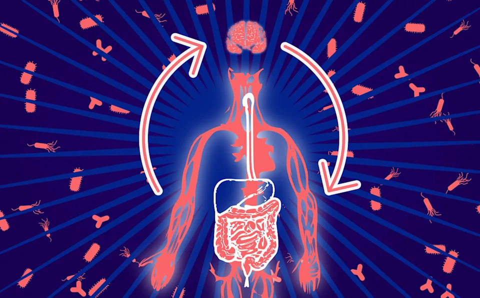 Tryptophan’s role in any gut-brain connection still isn’t clear. Andrew Neff, <a href="http://creativecommons.org/licenses/by-nd/4.0/" rel="nofollow noopener" target="_blank" data-ylk="slk:CC BY-ND;elm:context_link;itc:0;sec:content-canvas" class="link ">CC BY-ND</a>