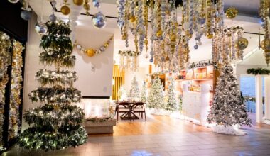 Holiday Outlook: The season is giving full and bright with a number of experiences throughout North Texas