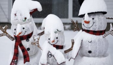 Storm moving into northern Ontario, Quebec to bring strong winds, heavy snow - CTV News