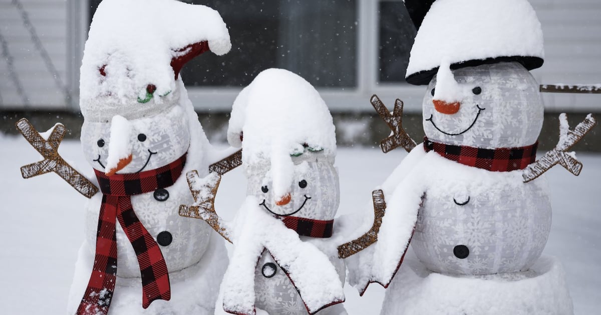 Storm moving into northern Ontario, Quebec to bring strong winds, heavy snow - CTV News