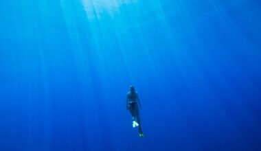 The science of thrill and how voluntary stress shapes resilience