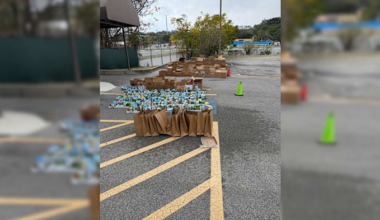 Veterans distribute more than 500 Thanksgiving meal boxes to San Antonio community