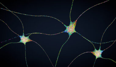 Medicare coverage of important pain procedures may end