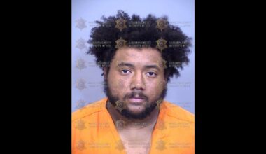 Man arrested for homicide allegedly hit MCSO patrol vehcile