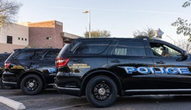 A 17-year-old girl is dead after a shooting at an apartment in Avondale on Saturday morning, author...