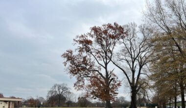 Richmond residents concerned about green space loss if proposed indoor tennis facility approved