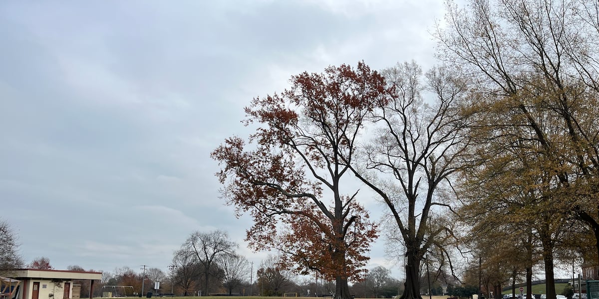 Richmond residents concerned about green space loss if proposed indoor tennis facility approved