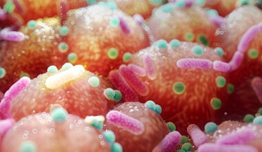 Parkinson's Link to Gut Bacteria Suggests Unexpectedly Simple Treatment : ScienceAlert