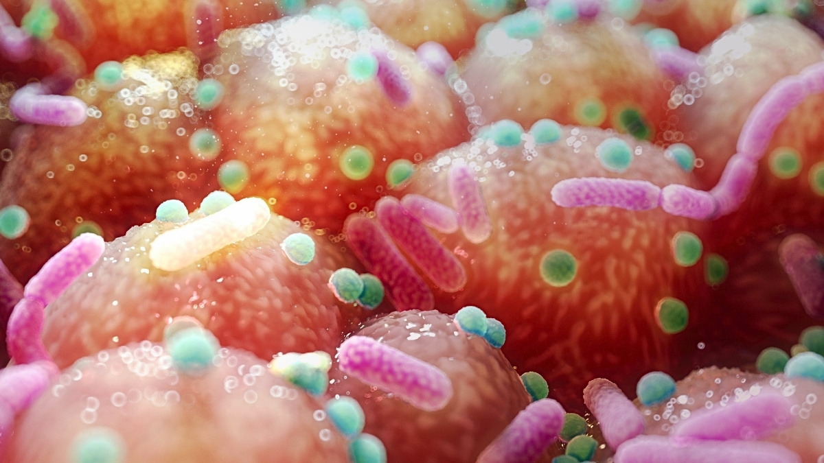 Parkinson's Link to Gut Bacteria Suggests Unexpectedly Simple Treatment : ScienceAlert