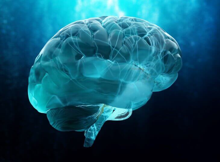 Targeting brain immune cells could restore Alzheimer’s-related lipid imbalance, UT Health San Antonio research shows