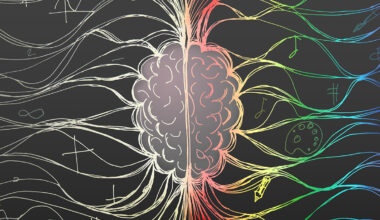 Hidden Rhythms in Your Brain And Gut Share a Surprising Link : ScienceAlert