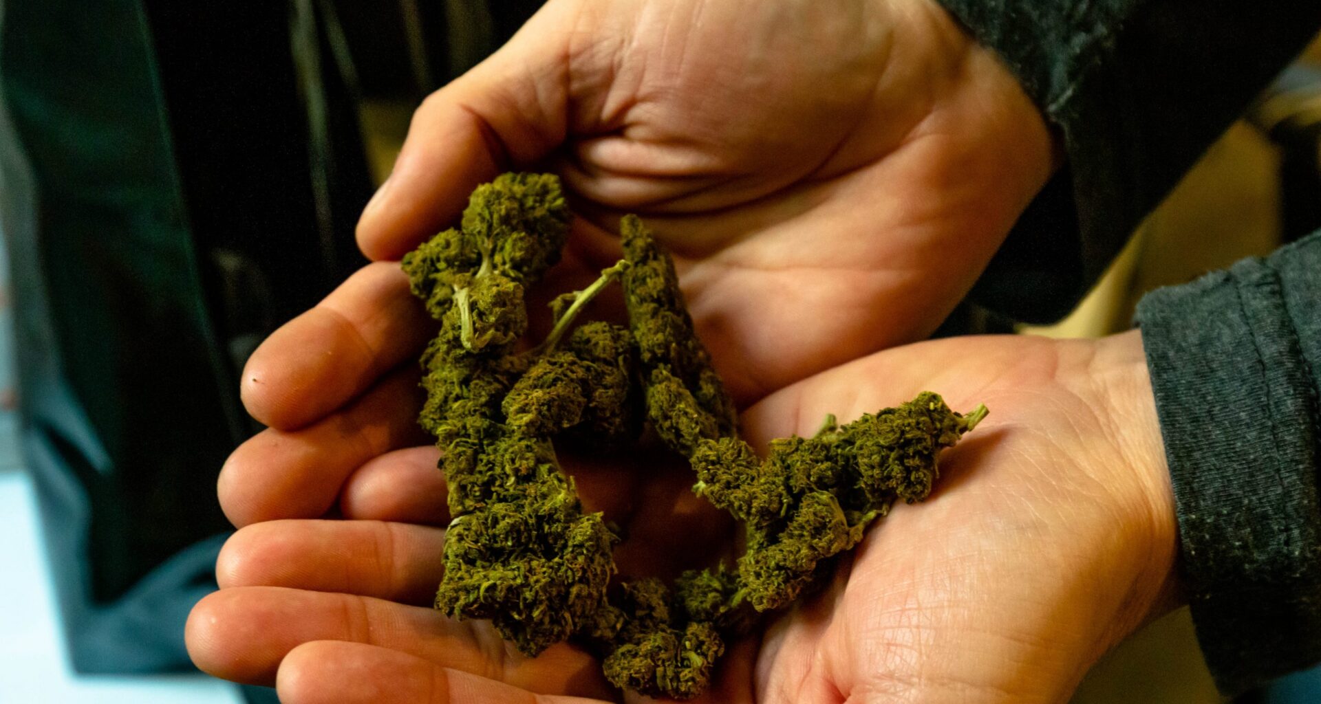 Hemp industry faces wipeout under federal deal to end shutdown