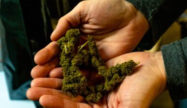 Hemp industry faces wipeout under federal deal to end shutdown