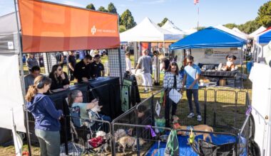 From Winter Wonderland Fashion Show to Doggie Street Festival – San Diego Union-Tribune